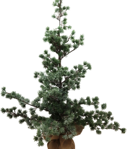 4959 TREE NORDIC CHARM